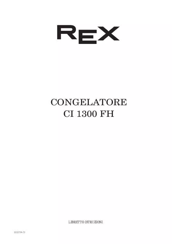 Mode d'emploi REX CI1300FH