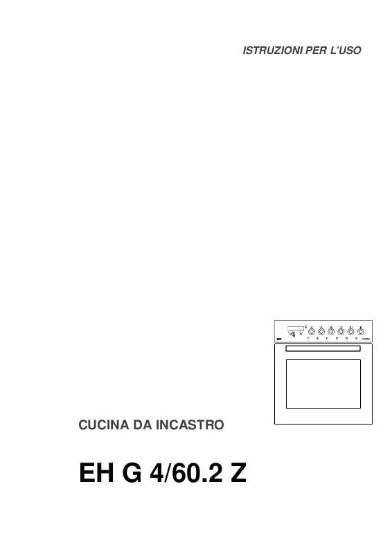 Mode d'emploi THERMA EH G4/60.2 Z SW