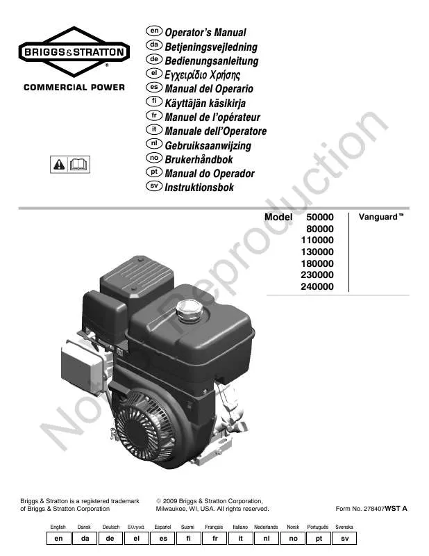 Mode d'emploi BRIGGS & STRATTON 138400