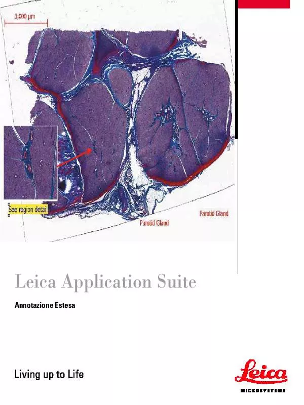 Mode d'emploi LEICA APPLICATION SUITE EXTENDED ANNOTATION